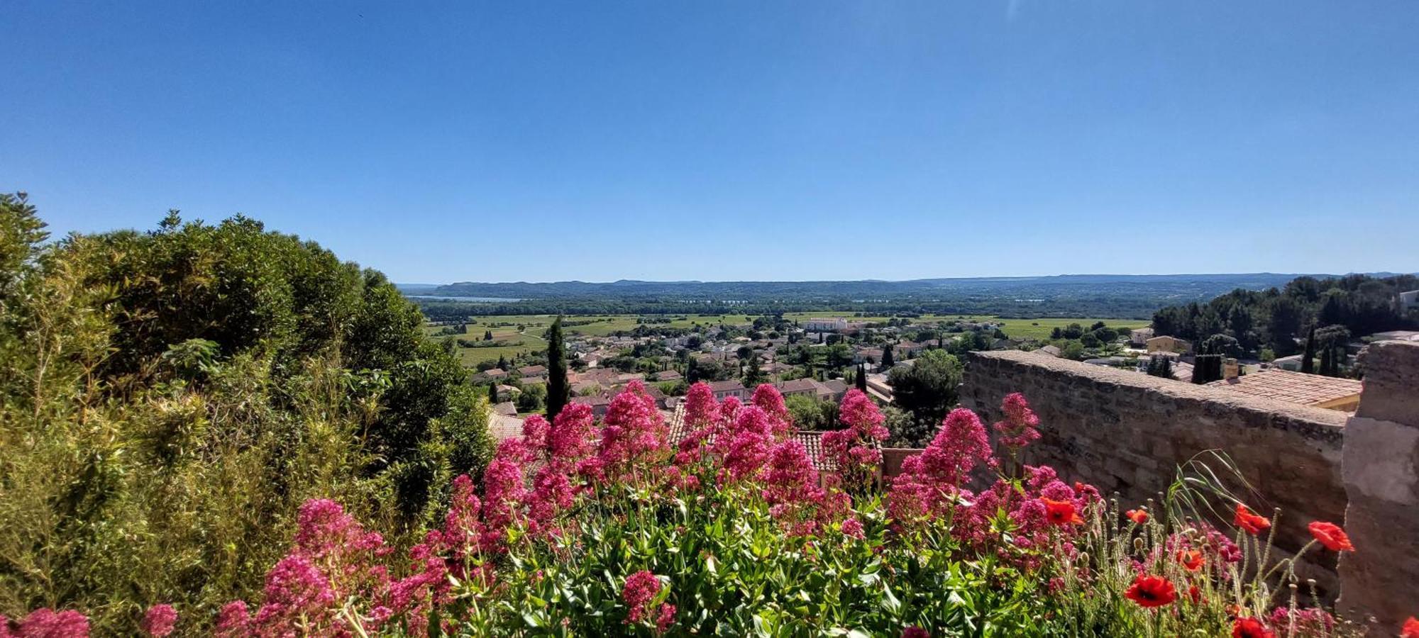 Gite De L'Olivier, Classe, Climatise, Jardin Avec Parking Gratuit Devant Le Logement Et A 5 Minutes Du Centre-Ville A Pied リル・シュル・ラ・ソルギュ エクステリア 写真